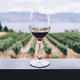 La forma de una copa de vino puede alterar el sabor.
